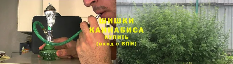 Канабис индика  Бологое 